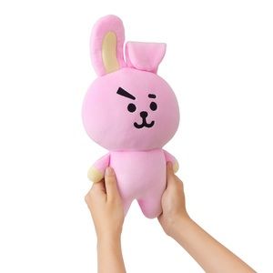 NWT BT21 LINEFRIENDS Plushies (COOKY)